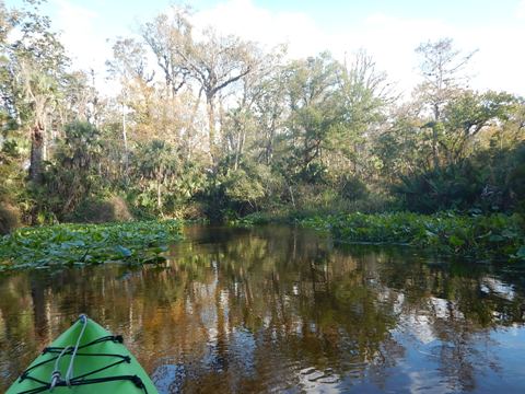 paddling Rock Springs Run, kayak, canoe