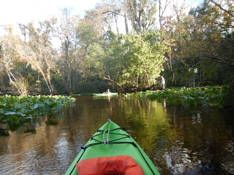 paddling Rock Springs Run, kayak, canoe