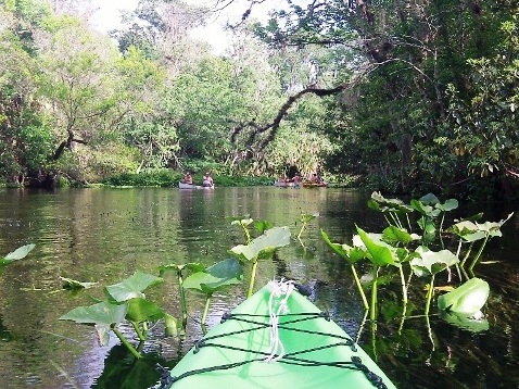 paddling Rock Springs Run, kayak, canoe