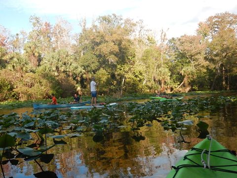 paddling Rock Springs Run, kayak, canoe