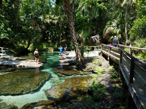 paddling Rock Springs Run, Kelly Park, Rock Springs