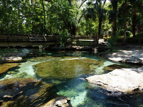 paddling Rock Springs Run, Kelly Park, Rock Springs