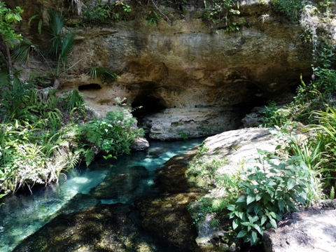 paddling Rock Springs Run, Kelly Park, Rock Springs