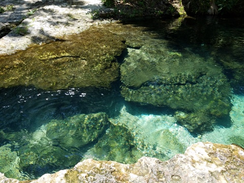 paddling Rock Springs Run, Kelly Park, Rock Springs