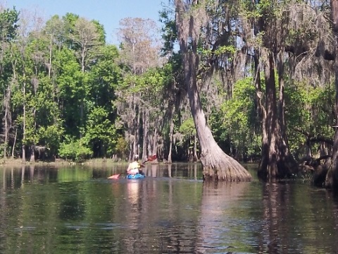 Shingle Creek Regional Park - Steffee Landing