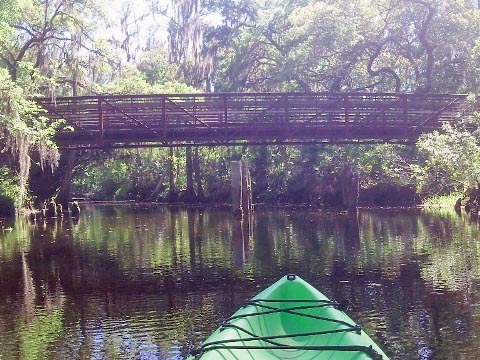 paddling Shingle Creek, Steffee Landing through cypress swamp