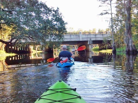 paddling Shingle Creek, Steffee Landing to Babb Park