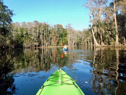 paddling Shingle Creek, Steffee Landing to Babb Park