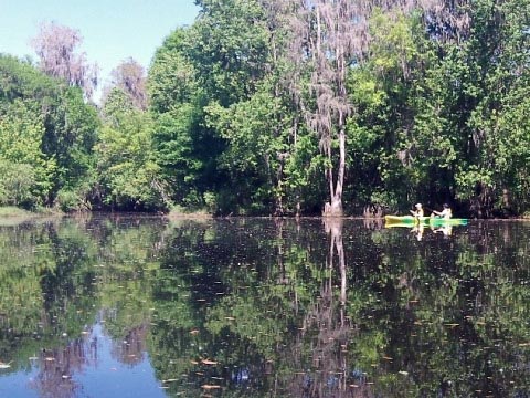 paddling Shingle Creek, Steffee Landing to Babb Park