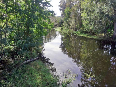 paddling Shingle Creek, Babb Park