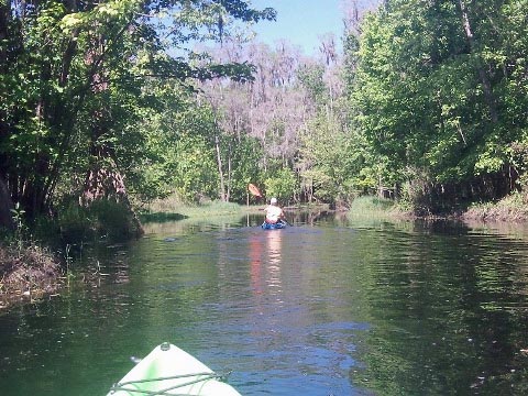paddling Shingle Creek, Steffee Landing to Pleasant Hill Rd.