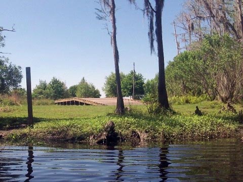 paddling Shingle Creek, Steffee Landing to Babb Park