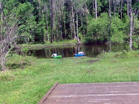 paddling Shingle Creek, Steffee Landing to Babb Park