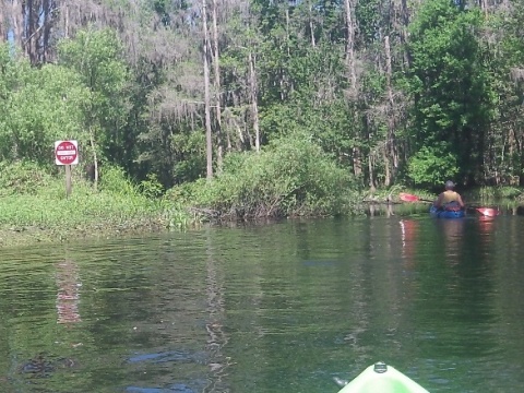 paddling Shingle Creek, Steffee Landing to Babb Park