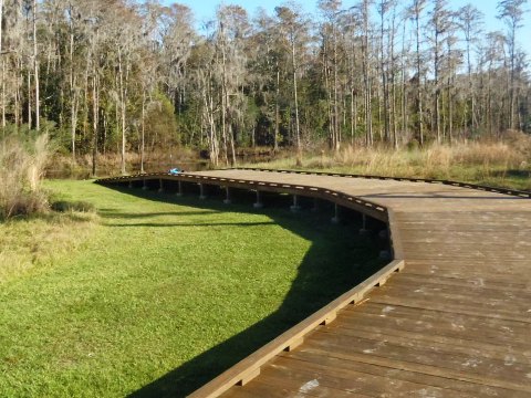 paddling Shingle Creek, Babb Landing