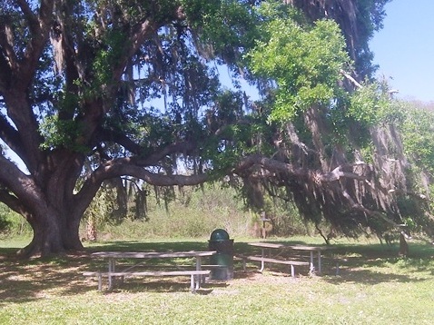 paddling Shingle Creek, Babb Landing