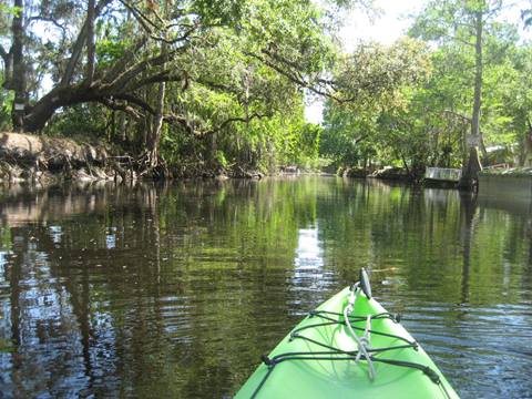 paddling Shingle Creek, North from Marsh Landing