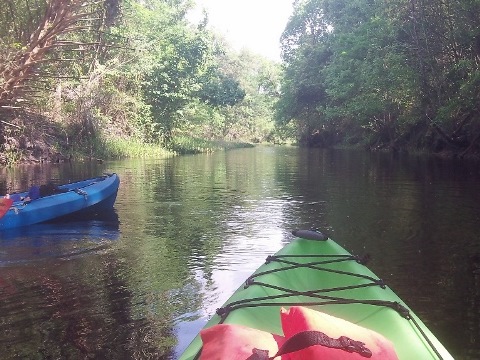 paddling Shingle Creek, North from Marsh Landing