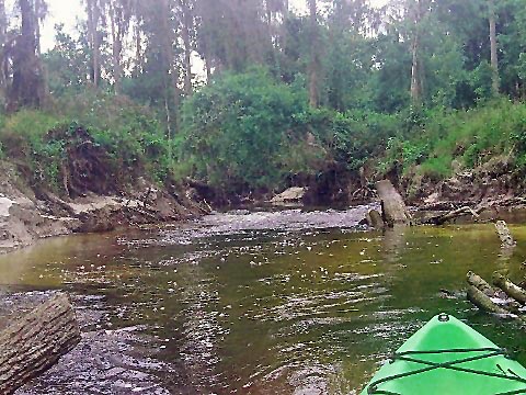 paddling Shingle Creek, North from Marsh Landing