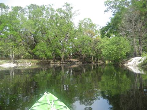 paddling Shingle Creek, South from Marsh Landing