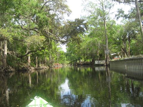 paddling Shingle Creek, South from Marsh Landing