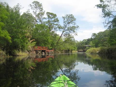 paddling Shingle Creek, South from Marsh Landing