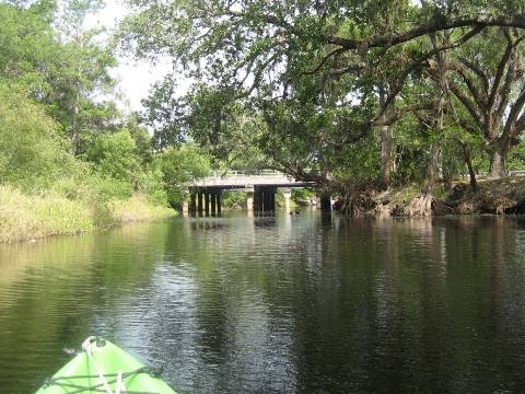 paddling Shingle Creek, South from Marsh Landing