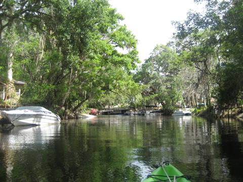 paddling Shingle Creek, South from Marsh Landing