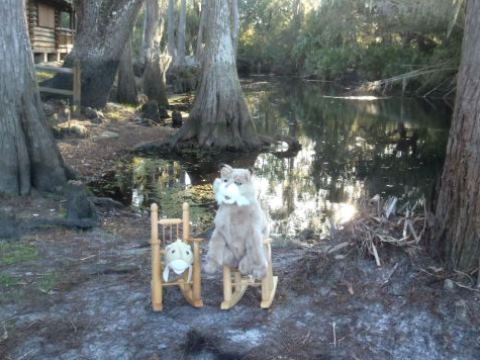 paddling Shingle Creek, wildlife