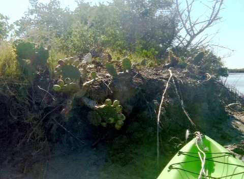 paddling Shipyard Island, Canaveral National Seashore