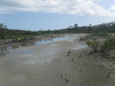 paddling Shipyard Island, Canaveral National Seashore