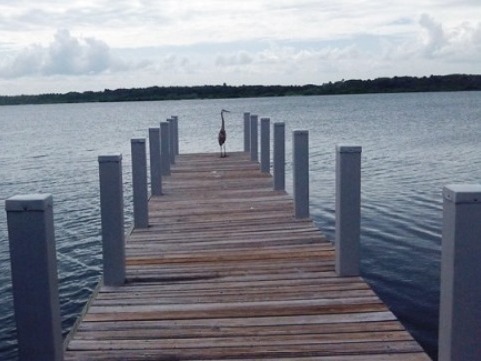 paddling Shipyard Island, Canaveral National Seashore