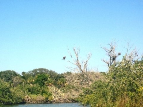 paddling Shipyard Island, Canaveral National Seashore