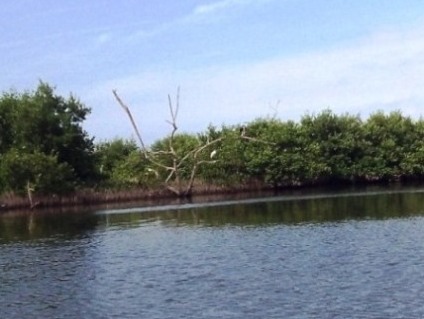 paddling Shipyard Island, Canaveral National Seashore