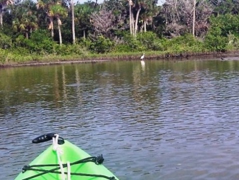 paddling Shipyard Island, Canaveral National Seashore