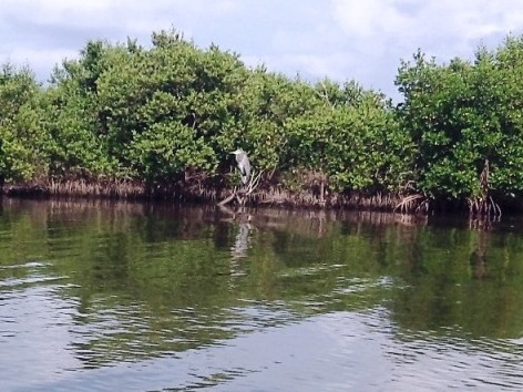 paddling Shipyard Island, Canaveral National Seashore