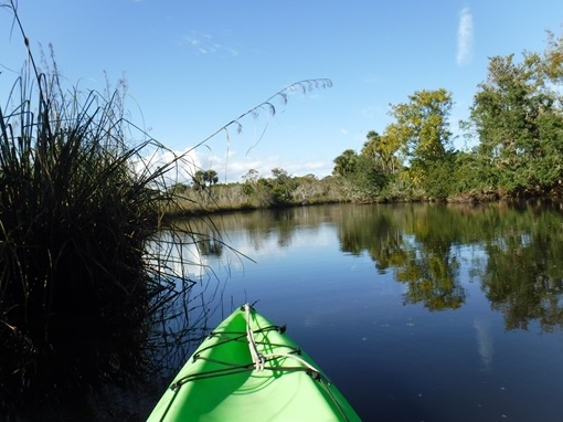 paddle Spruce 
		    Creek