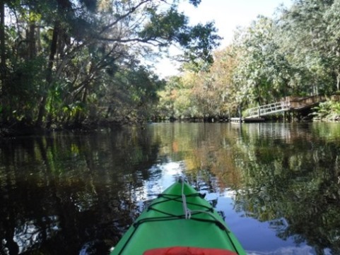 paddling Spruce Creek, Cracker Creek