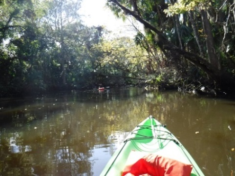 paddling Spruce Creek, Cracker Creek