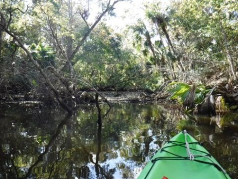 paddling Spruce Creek, Cracker Creek