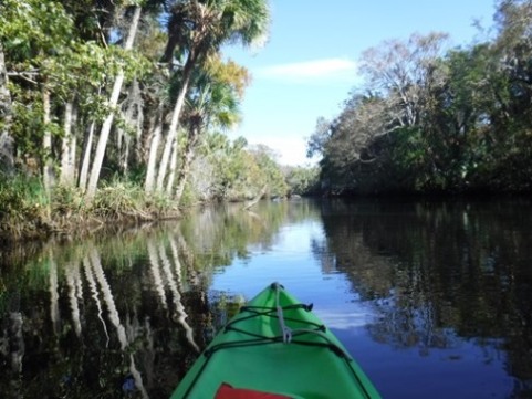 paddling Spruce Creek, Cracker Creek