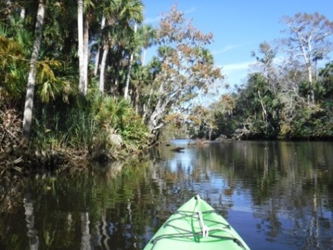 paddling Spruce Creek, Cracker Creek