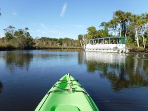 paddling Spruce Creek, Cracker Creek