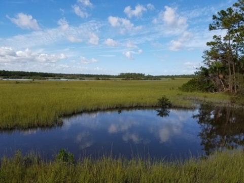 paddling Spruce Creek, Spruce Creek Park