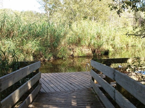 St. Sebastian River Florida