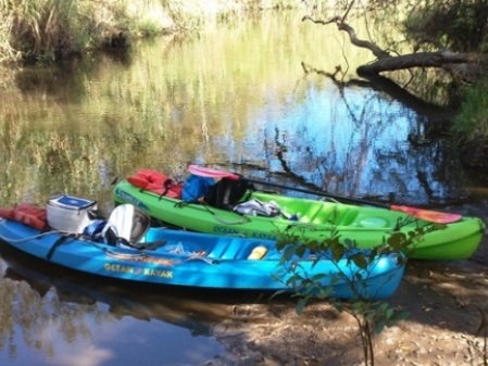 kayaking St. Sebastian River