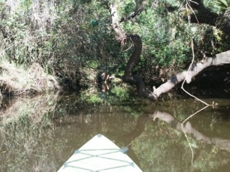 kayaking St. Sebastian River