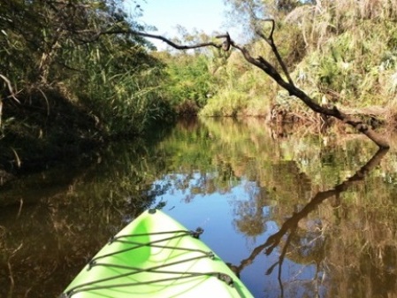 paddling St. Sebastian River