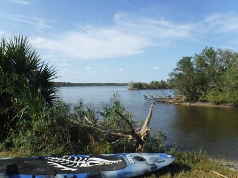 paddling Tomoka River, kayak, canoe