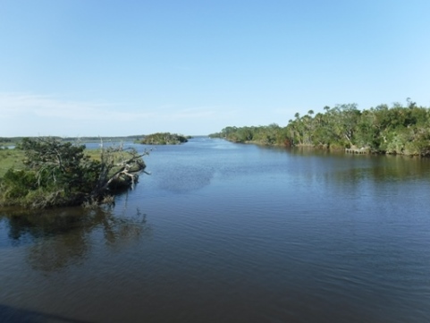 paddling Tomoka River, kayak, canoe